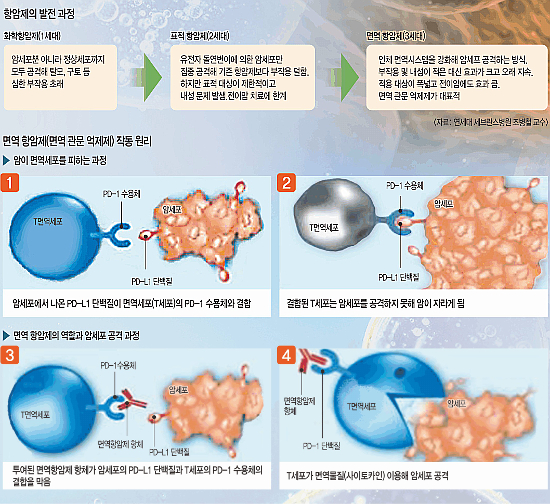 [And ǰ] 뺧 ָ 鿪 ׾,   밨  