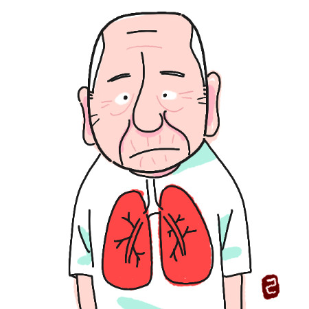 [ｺ ] ȭ  