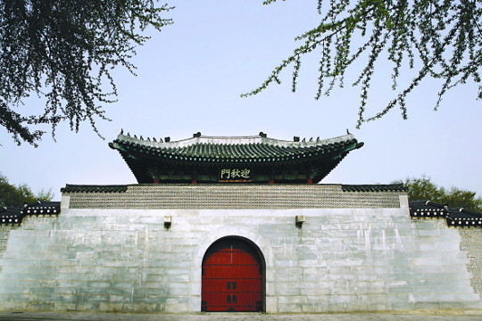 溹  ߹, 43     
