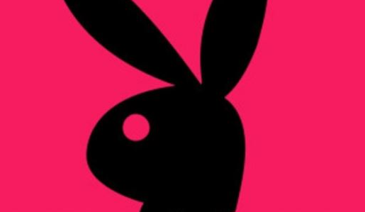 '밤토끼' 잡았지만…웹툰 작가 보상액은 최대 600만원-국민일보