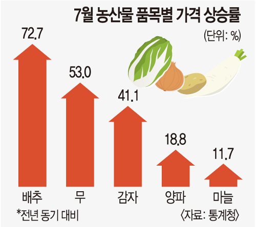 정부, 농산물에도 ‘할당 관세’ 추진… 추석 장바구니 물가잡기 총력전-국민일보