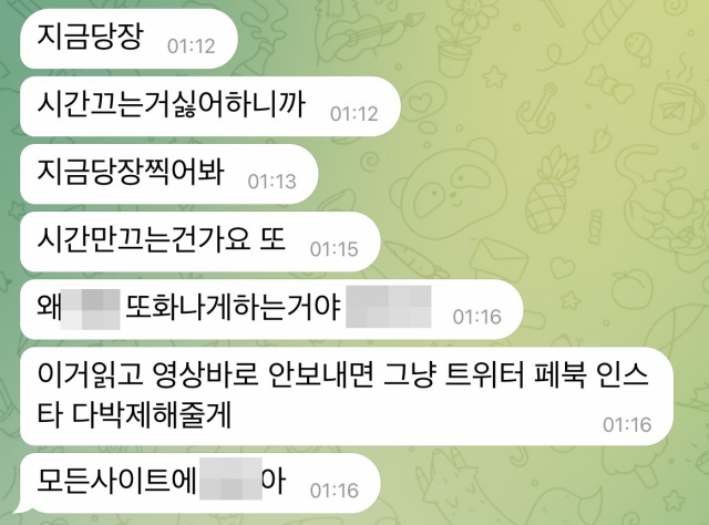 [단독] ‘제2 N번방 엘과 유사한 성착취 협박 피해자 더 있다 국민일보