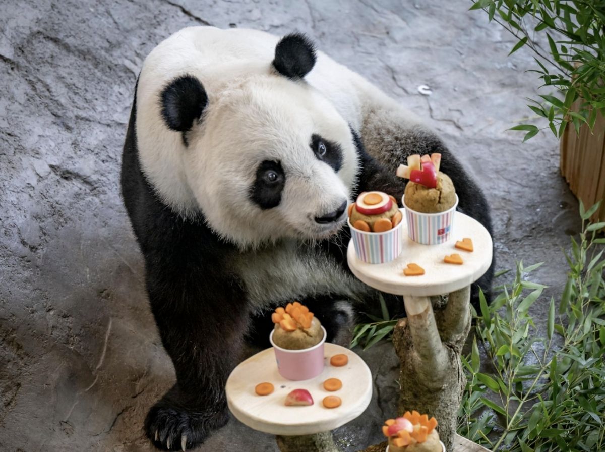 Ã౸Àå 84°³ ±Ô¸ð µ¿¹°¿ø, 1À¯·Î¿¡ ¸Å°¢µÈ ±î´ßÀº?